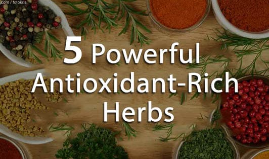 5 Powerful Antioxidant-Rich Herbs