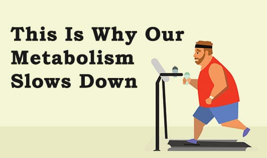 This Is Why Our Metabolism Slows Down (And What We Can Do About It)
