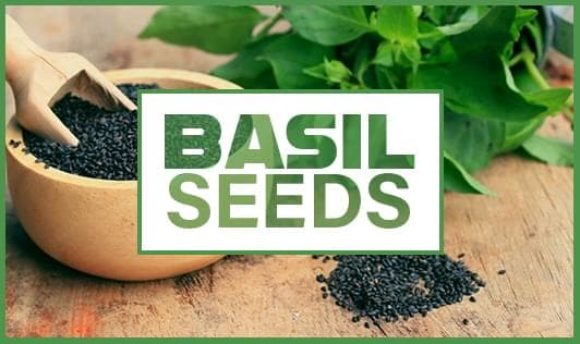 Magical Basil/Sabja Seeds Health Benefits that You Can't Ignore