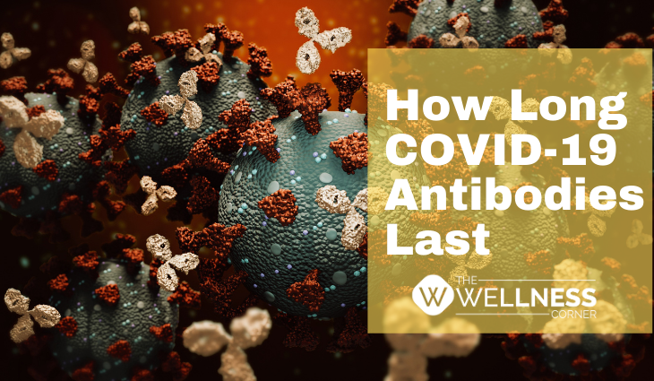 How Long Do COVID-19 Antibodies Last in Your System?