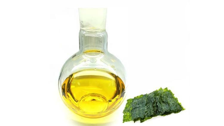 Should you be adding Algal oil (packed with omega-3) to your diet?
