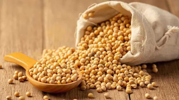 Does Soybean Consumption Affect Men's Sexual Health?
