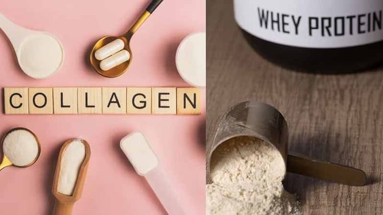 Which Is Better, Collagen Or Whey Protein?