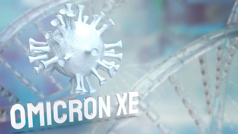 omicron-xe-covid-variant