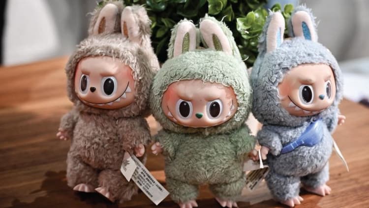 Labubu Dolls: Craze or Unhealthy Obsession?