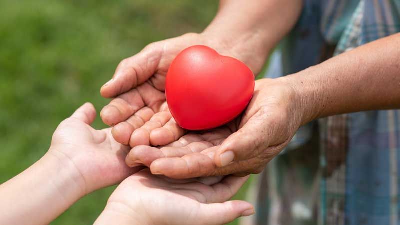 Organ Donation: Steps, Myths & The Power To Save 8 Lives